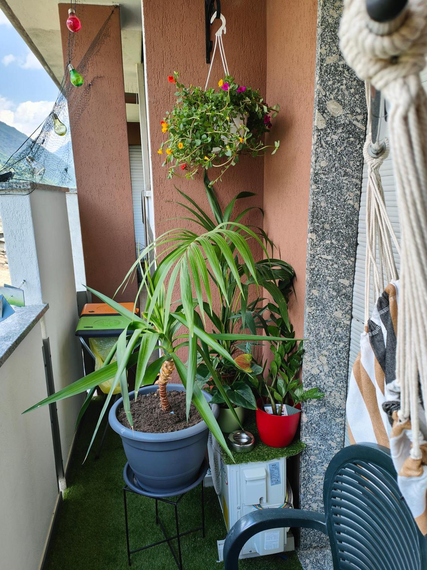 Ferienwohnung Alfiumea Tirano Exterior foto